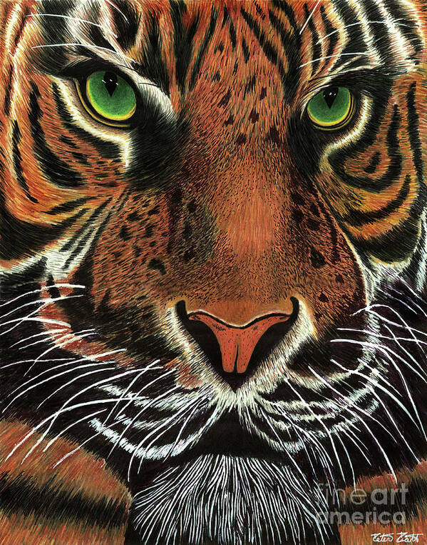 Animal Poster featuring the painting Focused on You by Peter Piatt
