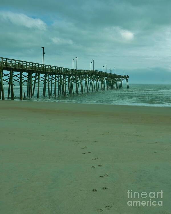  Poster featuring the photograph Foot Prints To The Pier by Bob Sample