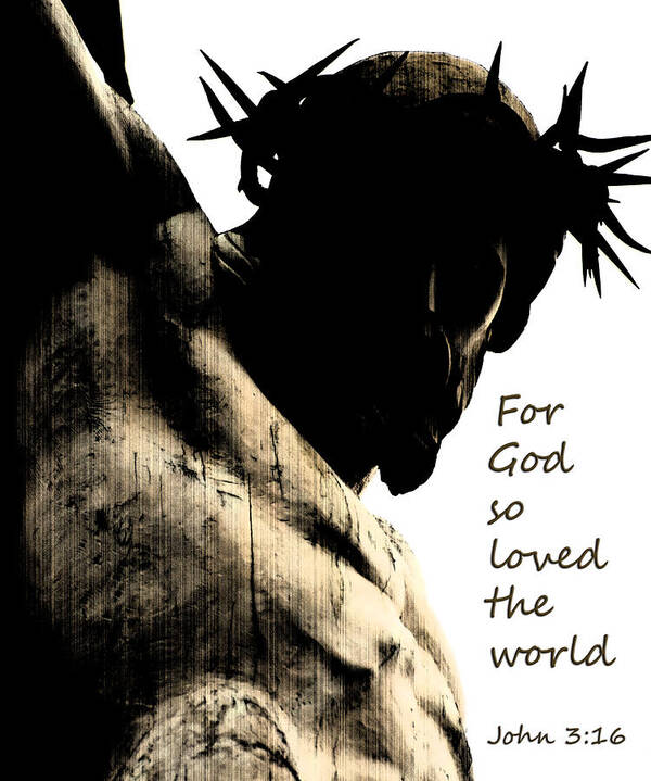 Crown Of Thorns Poster featuring the photograph For God So Loved The World John 3 16 by Jani Freimann