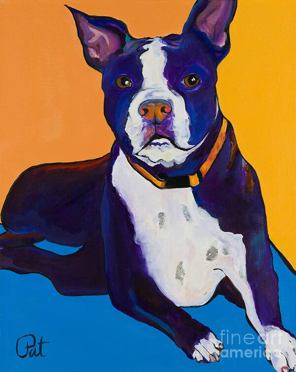 Boston Terrier Poster featuring the painting Georgie by Pat Saunders-White