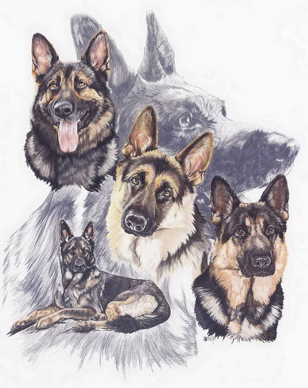 Purebred Poster featuring the mixed media German Shepherd Medley by Barbara Keith