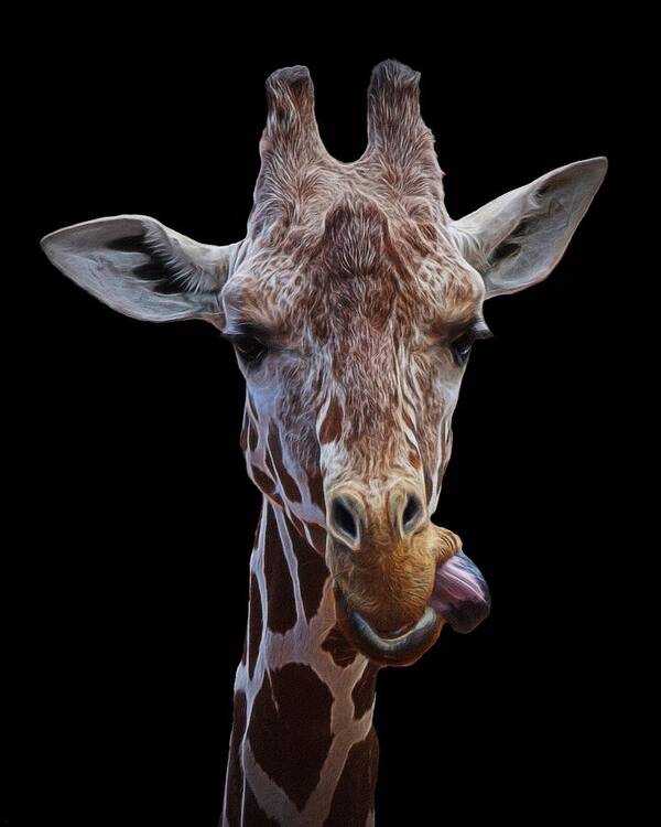 Giraffe Poster featuring the digital art Giraffe face by Ernest Echols