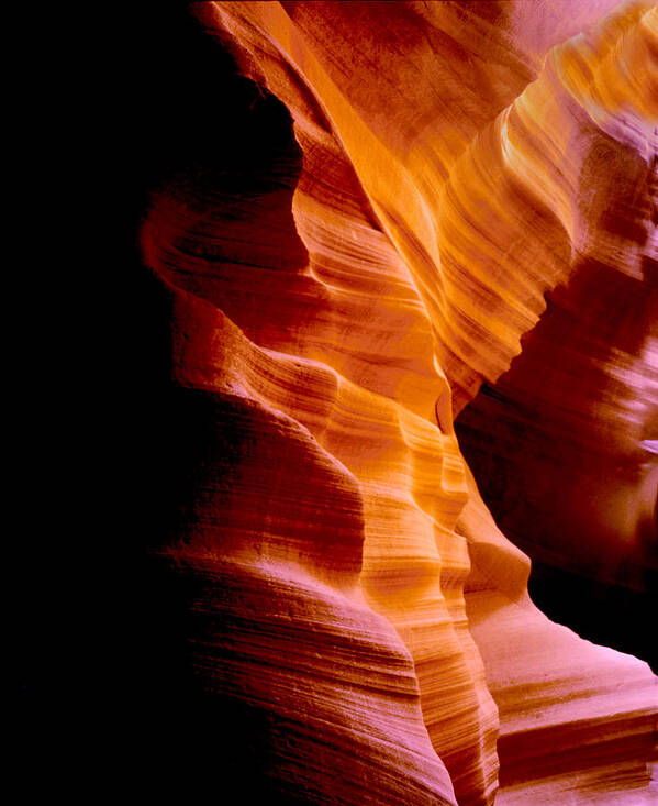 Antelope Canyon Poster featuring the pyrography Golden Abyss of Antelope Canyon by Joe Hoover