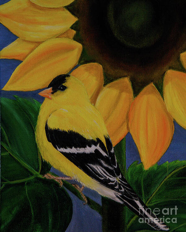 Finch Poster featuring the painting Goldfinch and Sunflower by Jane Axman