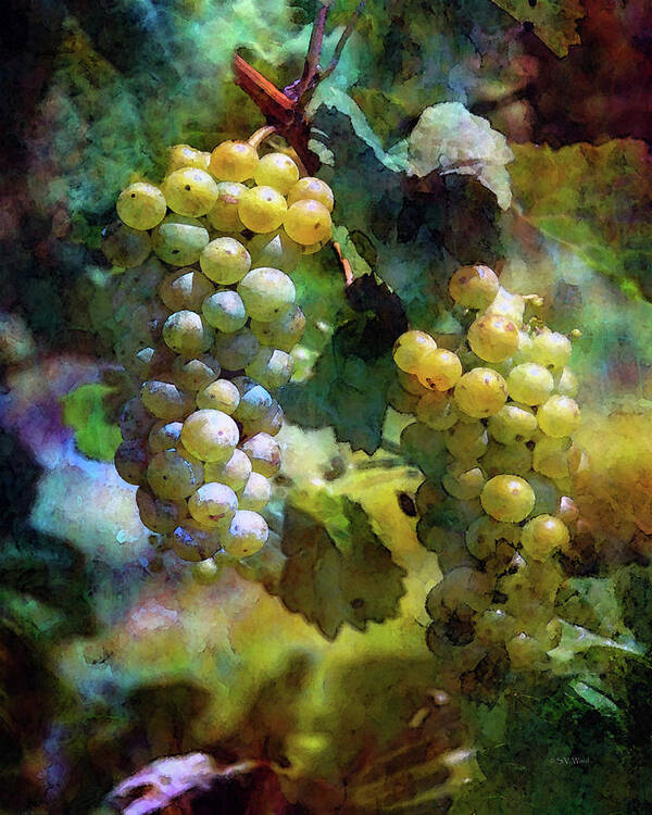 Grape Poster featuring the photograph Grape Prism 2739 IDP_2 by Steven Ward