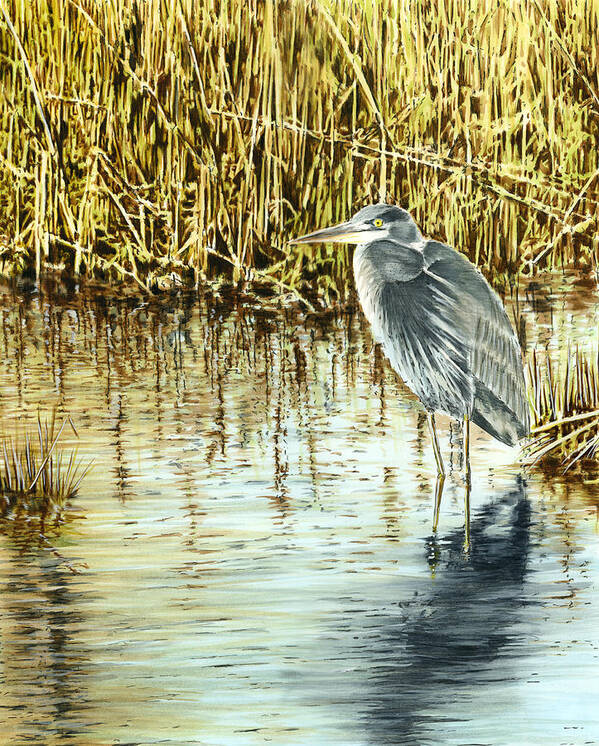 Heron Poster featuring the painting Great Blue Heron by Thomas Hamm