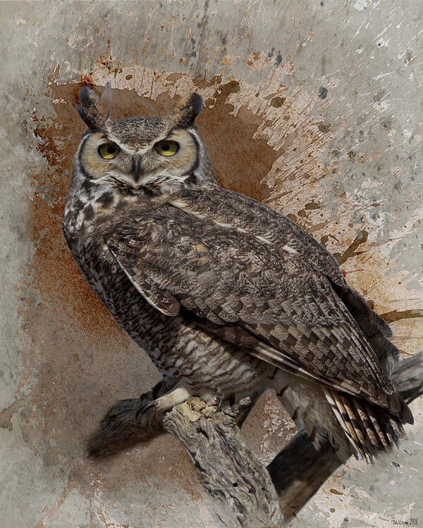 Alert Poster featuring the photograph Great Horned Owl by Teresa Wilson