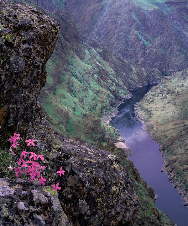 Idaho Scenics Poster featuring the photograph Hells Canyon #2 by Leland D Howard