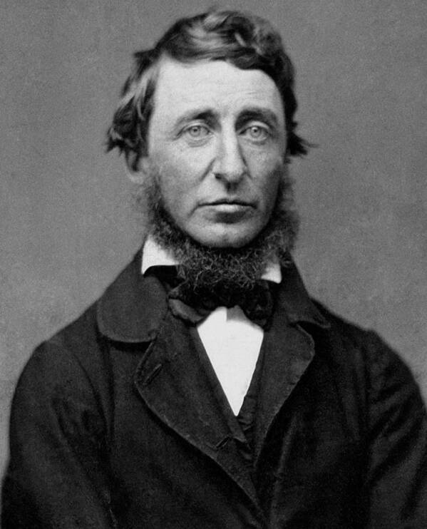 Thoreau Poster featuring the photograph Henry David Thoreau - Essayist and Philosopher by War Is Hell Store