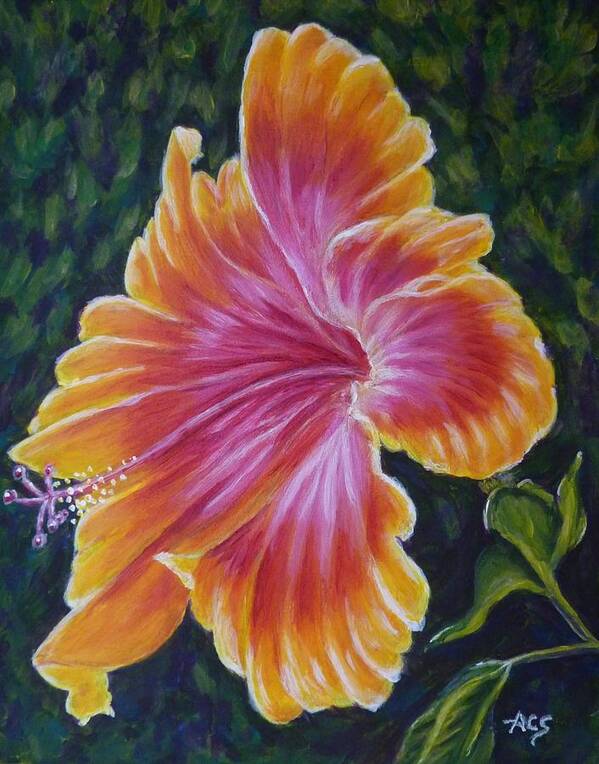 Hybiscus Poster featuring the painting Hibiscus by Amelie Simmons