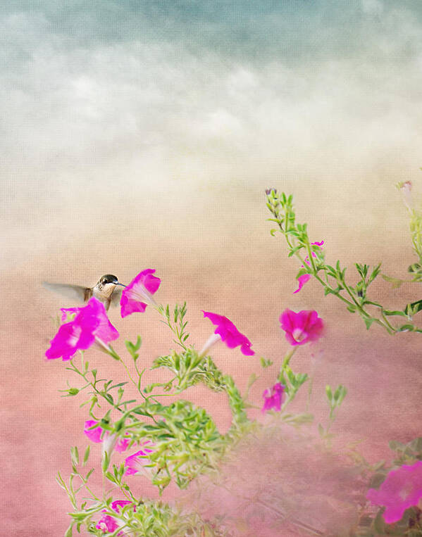Hummingbird Print Poster featuring the photograph Hummingbird in Flight by Gwen Gibson