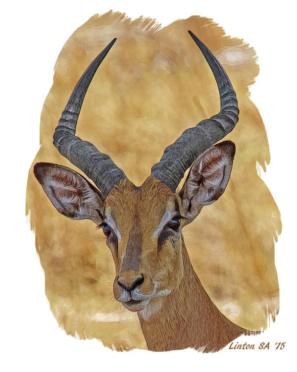 African Impala Poster featuring the digital art Impala by Larry Linton