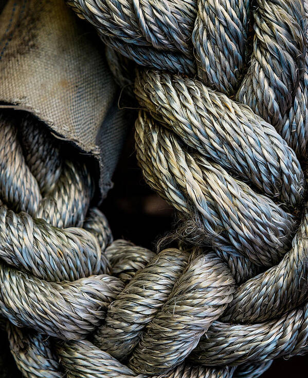 24 Industrial Strength Rope Contemplative Industrial Rope Ropes Circular Circle Circles Curve Curves Curving Twist Twists Twisting Twisted Bend Bends Bending Braid Braids Braiding Coil Coils Coiling Intertwine Intertwines Intertwining Vertical Verticals Tall Texture Textures Gray Grays Grey Greys Tan Tans Taupe Taupes Beige Beiges Color Steve Steven Maxx Photography Photo Photographs Poster featuring the photograph Industrial Strength Rope by Steven Maxx