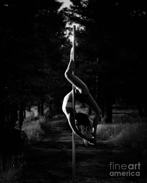 Hailey Poster featuring the photograph Inverted pole dance in forest by Scott Sawyer