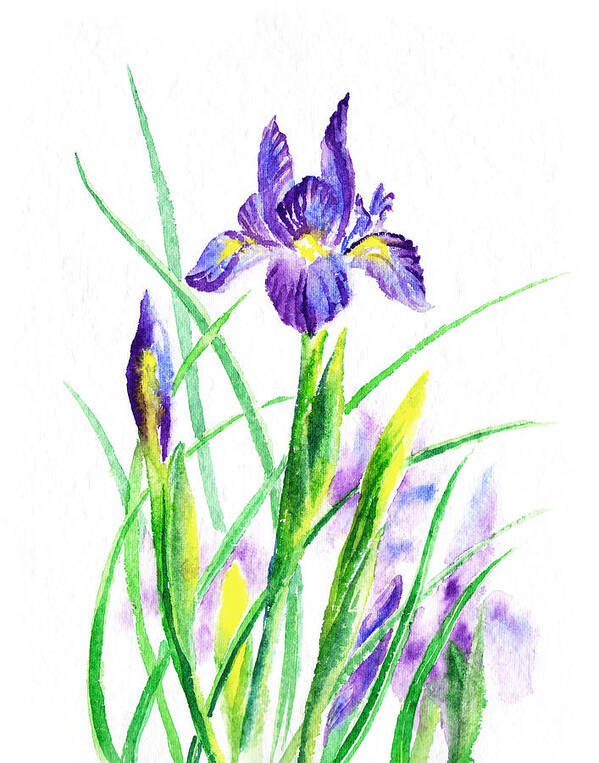 Iris Poster featuring the painting Iris Flowers Botanical by Irina Sztukowski