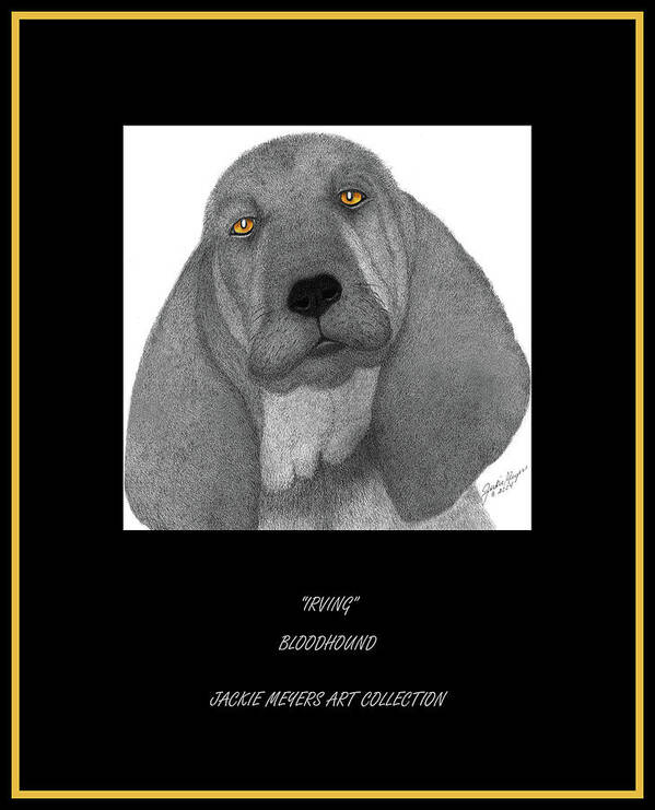Bloodhounds Poster featuring the drawing Irving by Jackie Meyers