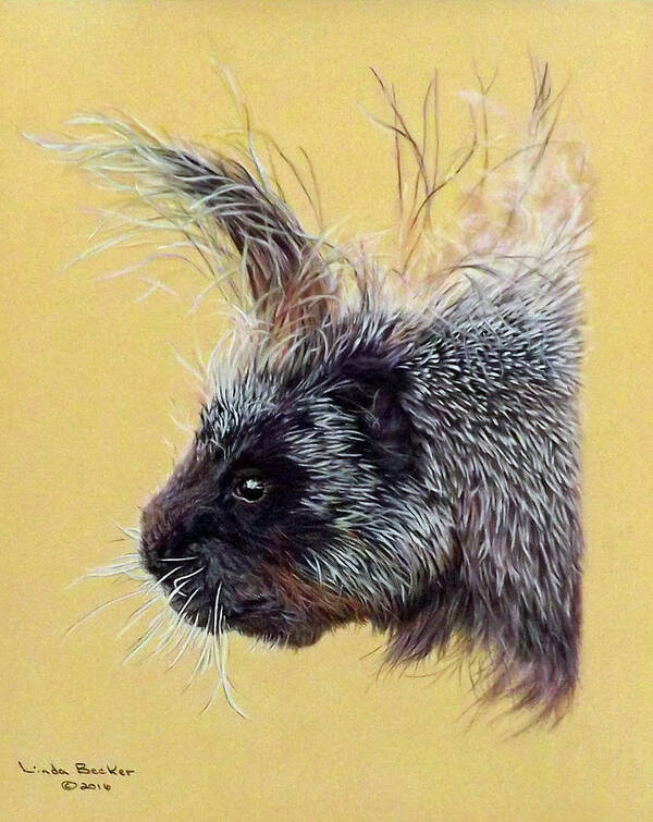 Porcupine Poster featuring the painting Kit by Linda Becker