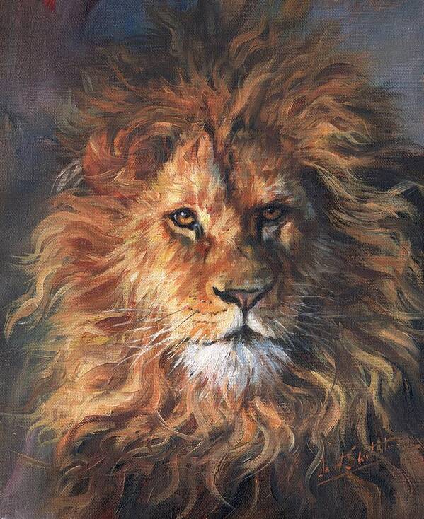 Lion Poster featuring the painting Lion Portrait by David Stribbling