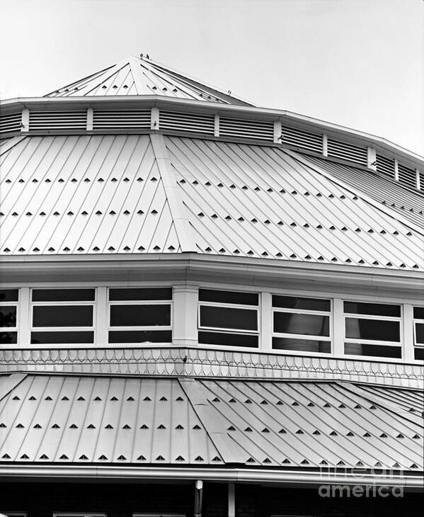 Livestock Building Roof Metal Steel Iowa State Fair Fairgrounds Black White Monochrome Poster featuring the photograph Livestock Building Roof by Ken DePue