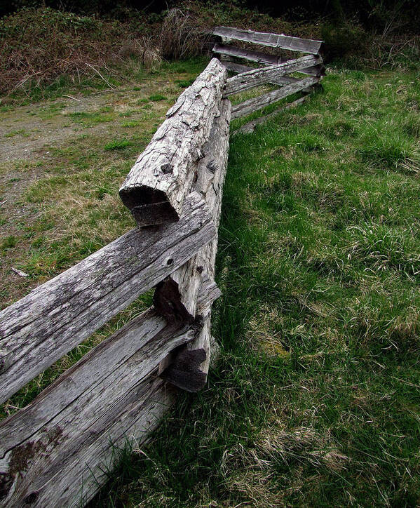 Wood Framed Prints Poster featuring the photograph Log fence by Ron Roberts