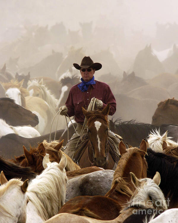 Cowboy Poster featuring the photograph Lone Cowboy by Carien Schippers