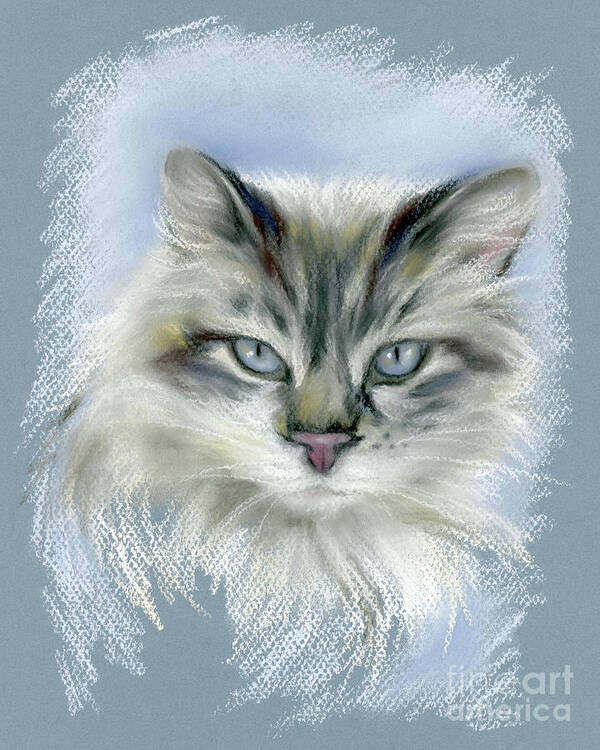 Cat Poster featuring the pastel Longhaired Cat with Blue Eyes by MM Anderson