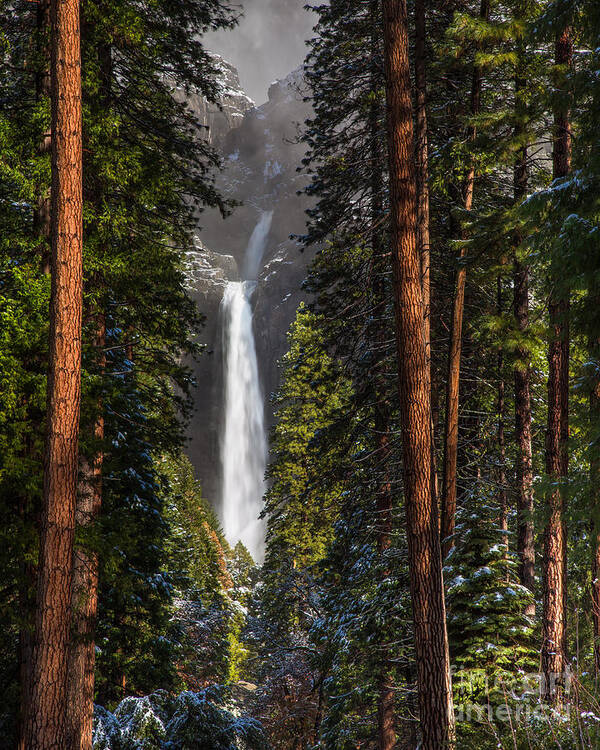 Yosemite Poster featuring the photograph Lower Yosemite Falls by Anthony Michael Bonafede