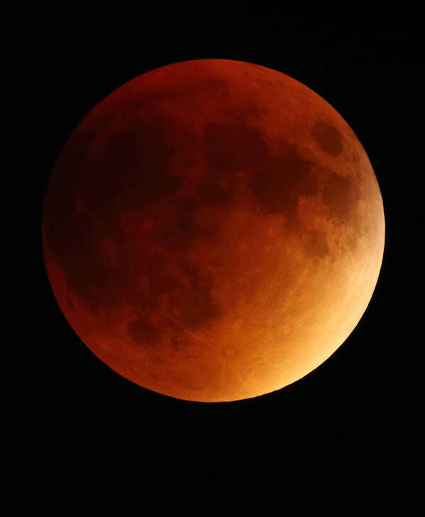 Lunar Poster featuring the photograph Lunar Eclipse 1 by Coby Cooper