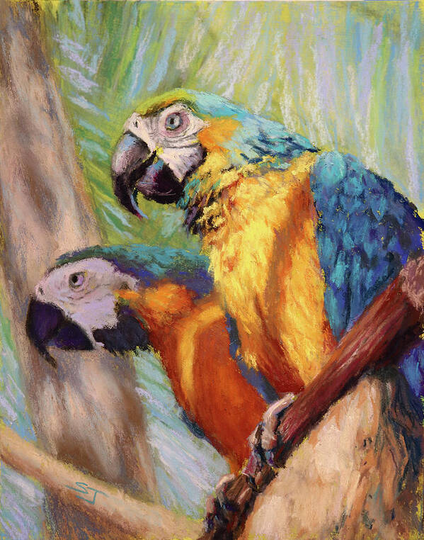 Parrots Poster featuring the painting Macaws in the Sunshine by Susan Jenkins