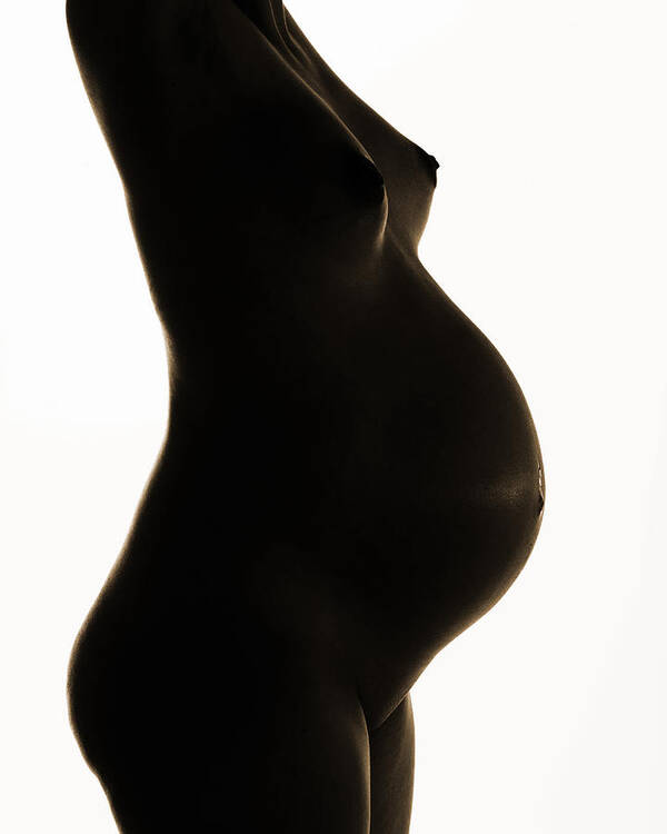 Maternity Poster featuring the photograph Maternity 64 by Michael Fryd