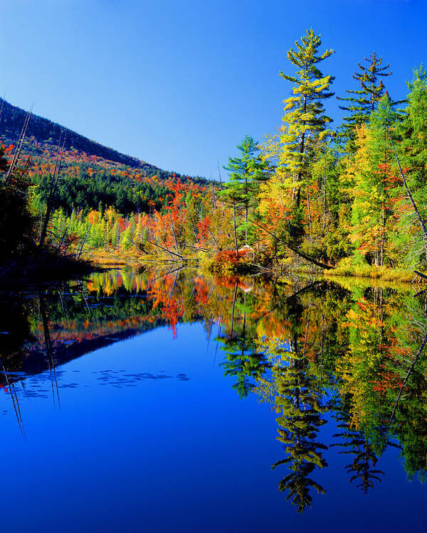 Landscape-adirondack Mts.-river-autumn Poster featuring the photograph Mirror Image by Frank Houck