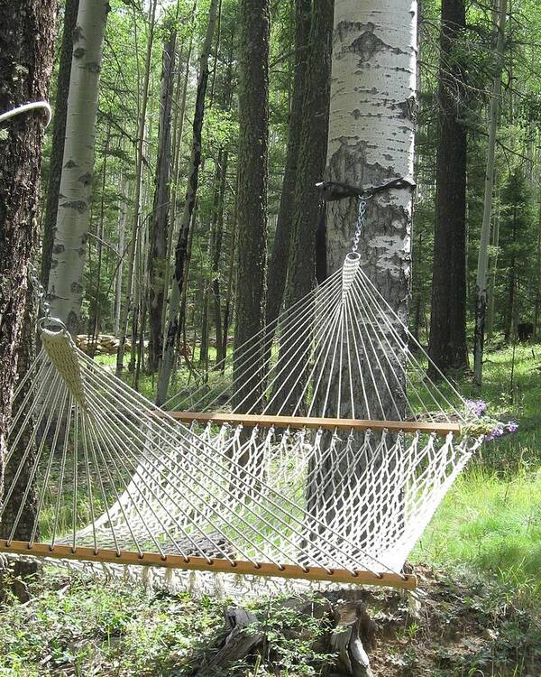 Hammock Poster featuring the photograph Mountain Afternoons by Judith Lauter