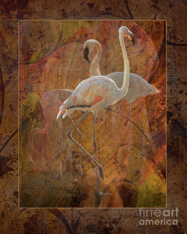 Herons Poster featuring the photograph New Upload by Melinda Hughes-Berland