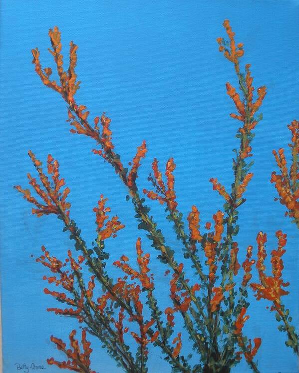 Floral Poster featuring the painting Ocotillo Cactus by Betty-Anne McDonald