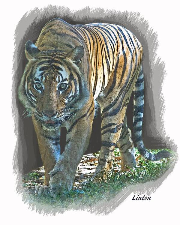 Malayan Tiger Poster featuring the digital art On The Prowl #1 by Larry Linton