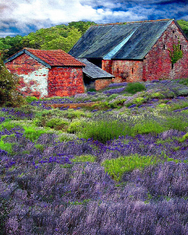 Lavender Poster featuring the mixed media Oregon Lavender Farm by Michele Avanti