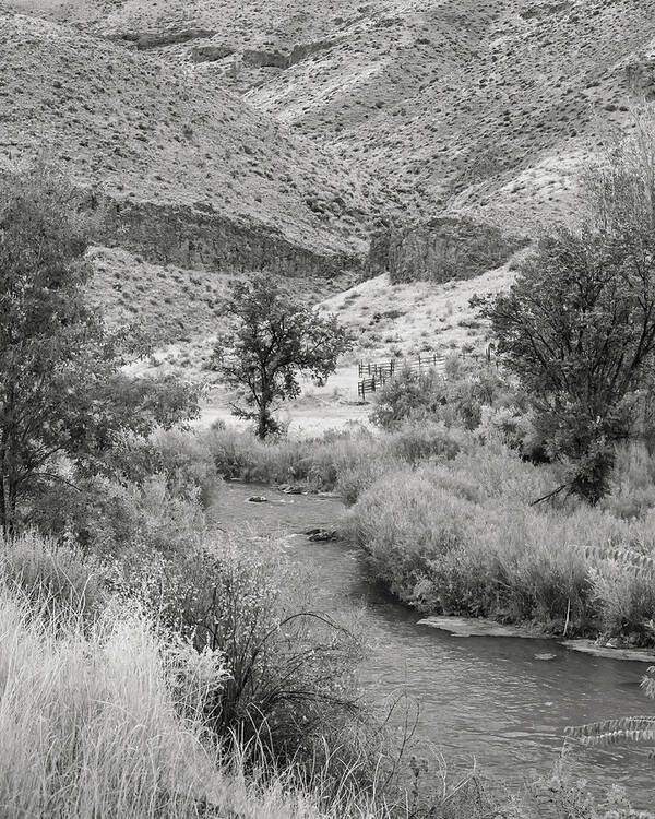5dii Poster featuring the photograph Owyhee River by Mark Mille