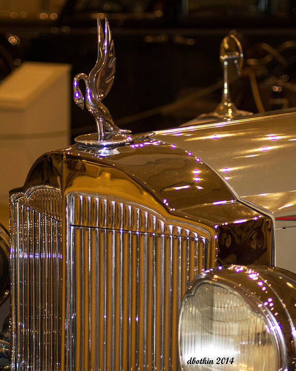 Car Poster featuring the photograph Packard by Dick Botkin