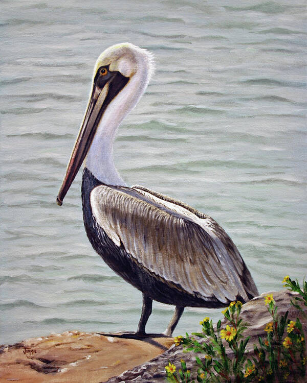 Pelican Poster featuring the painting Pelican on the Waterway by Jimmie Bartlett
