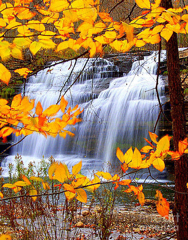 Berry Poster featuring the photograph Pixley Falls by Diane E Berry