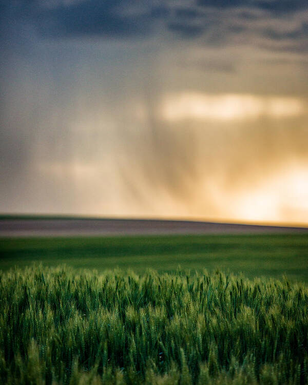 Grasslands National Park Poster featuring the photograph Prairie Rainstorm by Matt Hammerstein