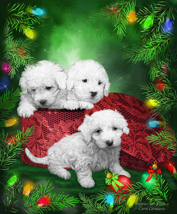 Carol Cavalaris Poster featuring the mixed media Puppies For Christmas by Carol Cavalaris