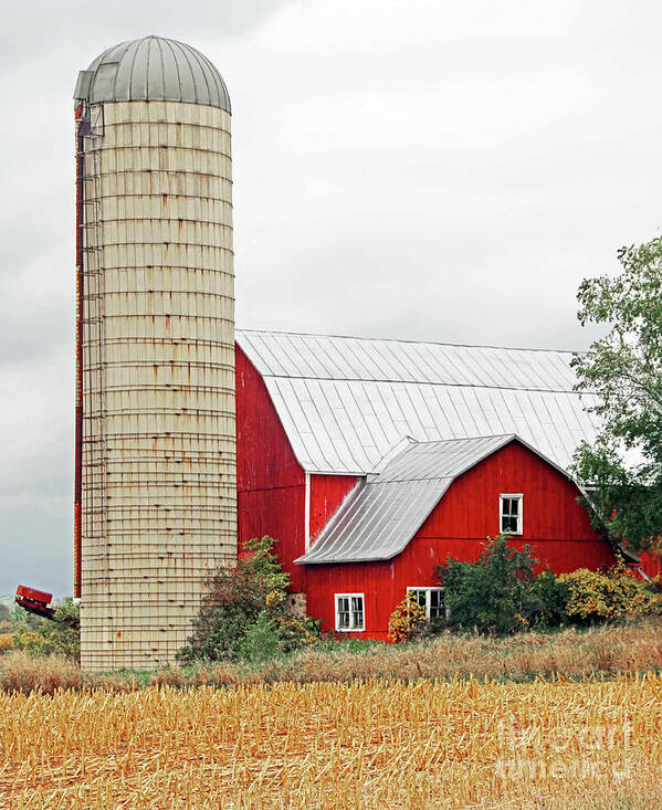 Red Barn Poster featuring the photograph Red Barn and Silo 4460 by Jack Schultz
