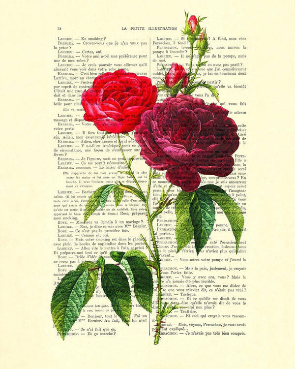 Flower Poster featuring the digital art Red Roses For Valentine by Madame Memento