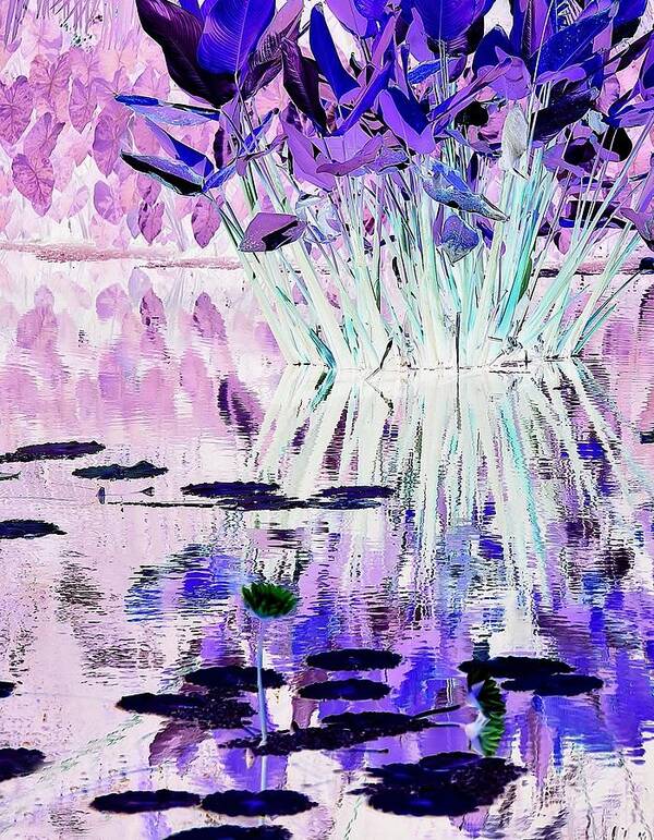 Surreal-nature-photos Poster featuring the digital art Reflecting Pool I.C. by John Hintz