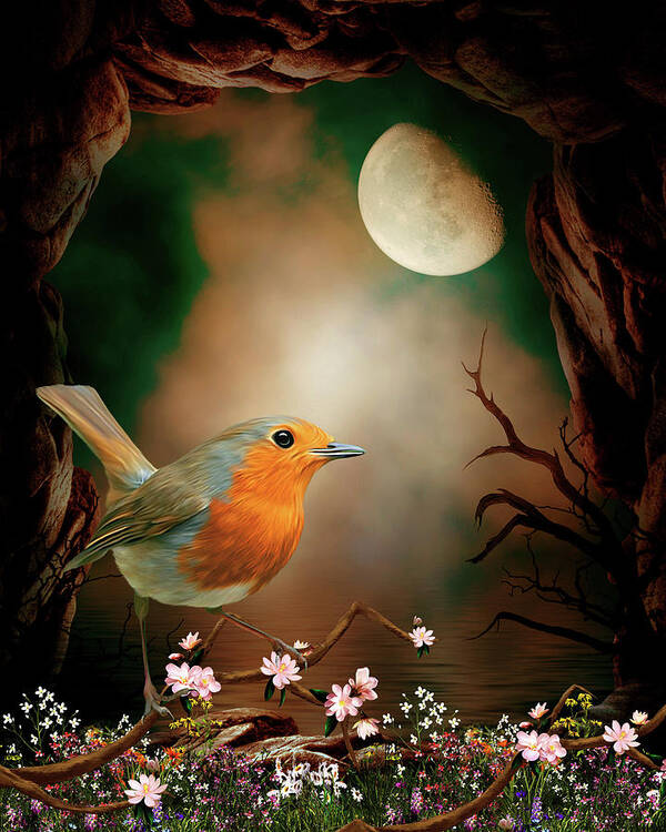 Robin In The Moonlight Poster featuring the digital art Robin in the moonlight by John Junek
