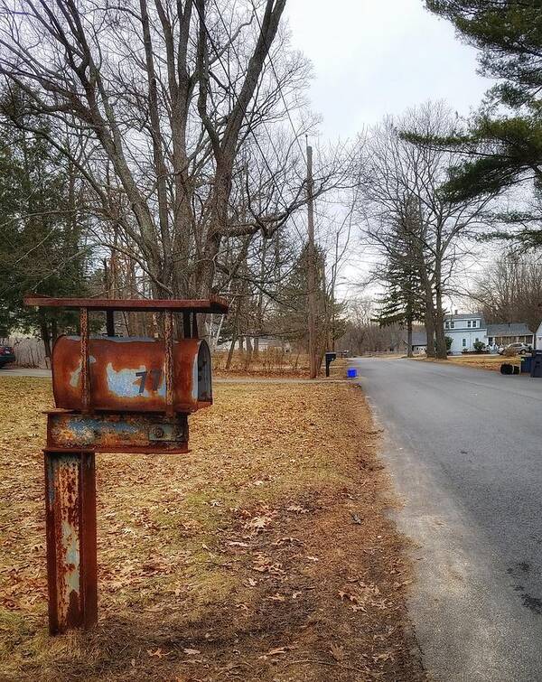 Rust Poster featuring the photograph Rusty Mailbox on a Country Road by Mary Capriole