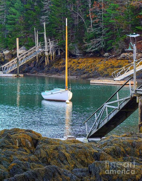 Maine Poster featuring the photograph Sailboat at The Gut by Steve Brown