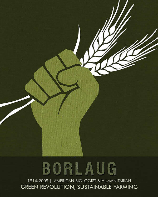 Norman Boralug Poster featuring the mixed media Science Posters - Norman Borlaug - Biologist, Agronomist by Studio Grafiikka
