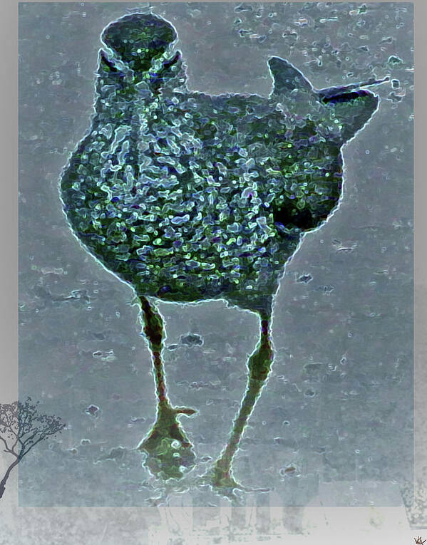 Sea Bird Poster featuring the digital art Sea Bird by Debra   Vatalaro
